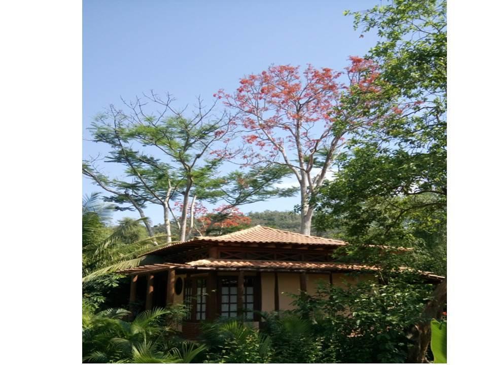 Paraty Villa D'Agua Temporada エクステリア 写真